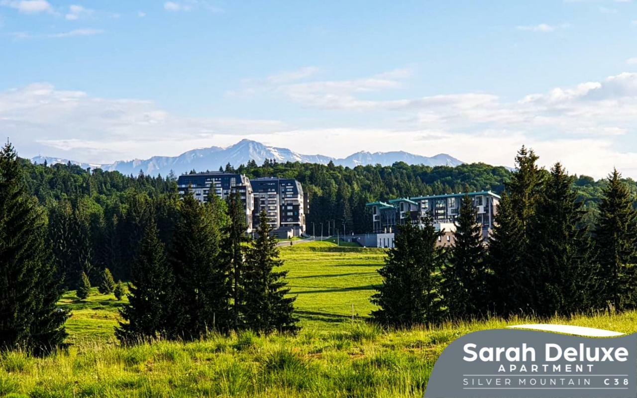 Sarah Deluxe Apartment In Silver Mountain ポイアナ・ブラショフ エクステリア 写真