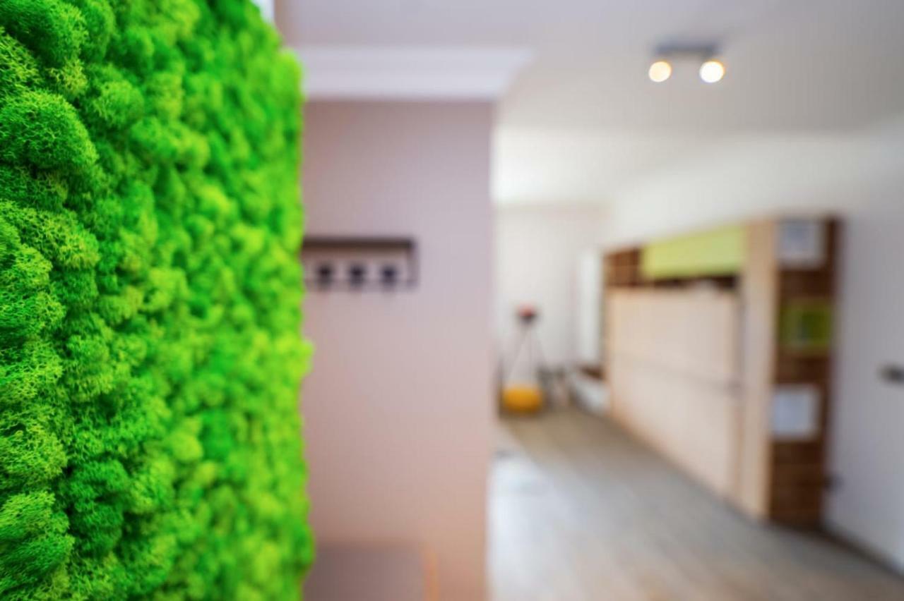 Sarah Deluxe Apartment In Silver Mountain ポイアナ・ブラショフ エクステリア 写真